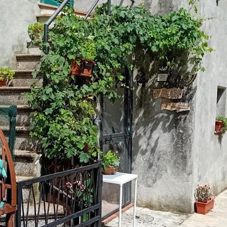 Nicolas House Campiglia d'Orcia Luaran gambar