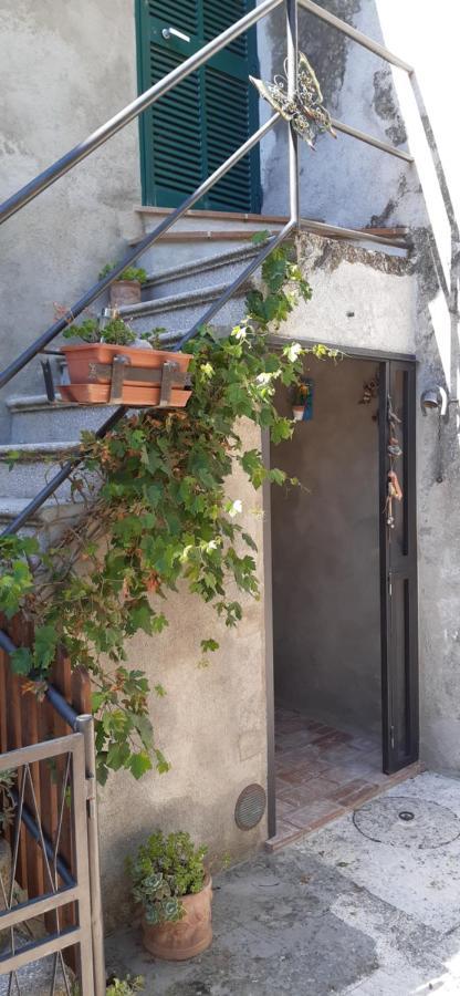 Nicolas House Campiglia d'Orcia Luaran gambar