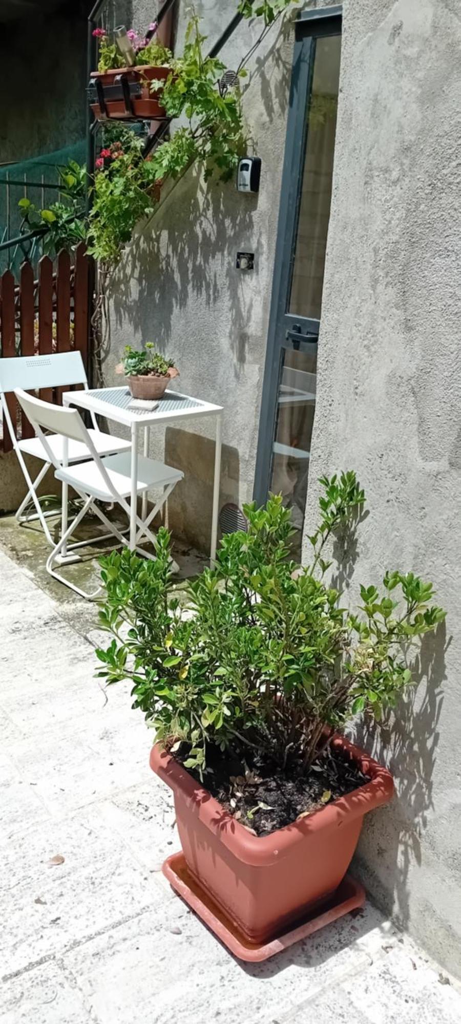 Nicolas House Campiglia d'Orcia Luaran gambar